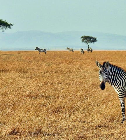 Top coliving spaces in Africa