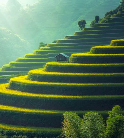 Top coliving spaces in Bali