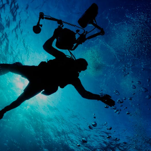 Divers